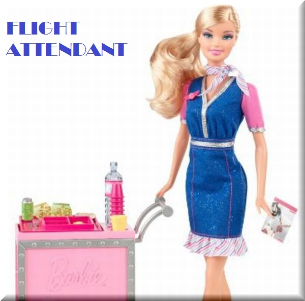 flight attendant sle entry cabin attendant vs flight attendant spotheoryの日記 flight attendant sle entry cabin attendant vs flight attendant spotheoryの日記