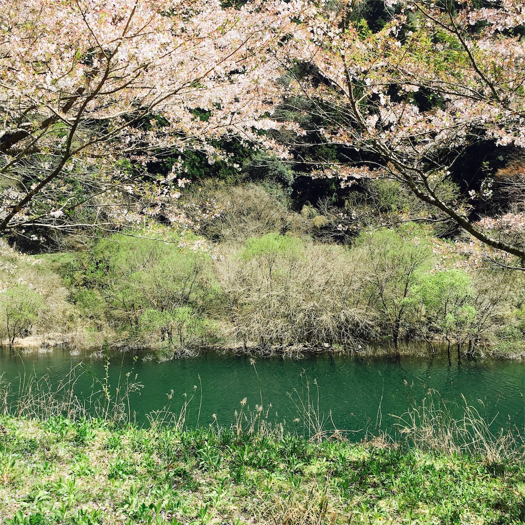 f:id:sprighascome:20170416182224j:image