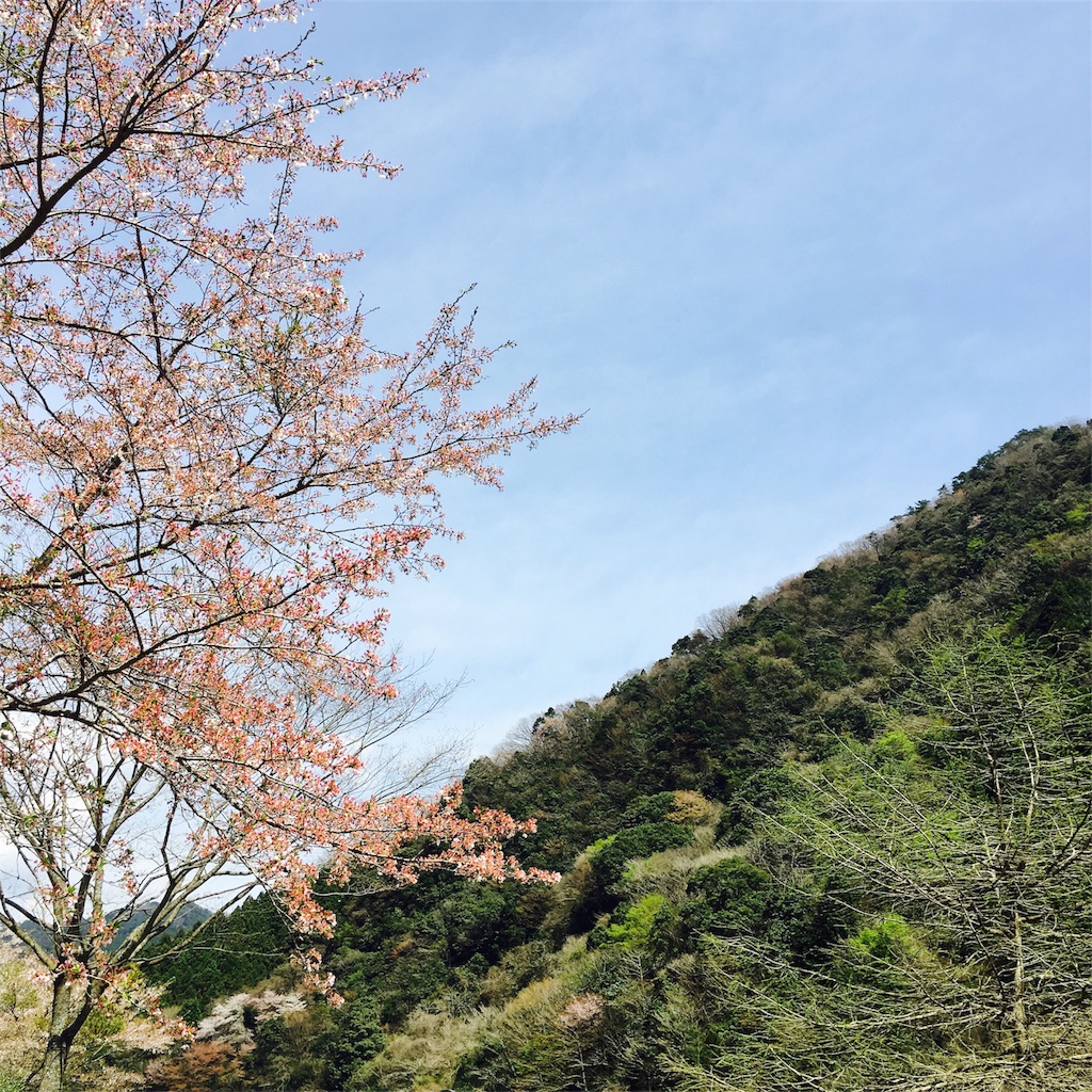 f:id:sprighascome:20170416183957j:image