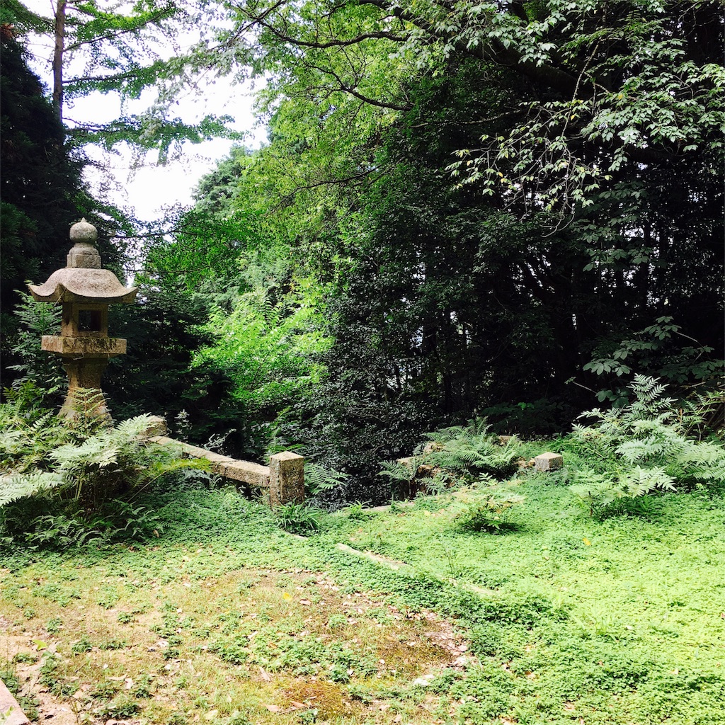 f:id:sprighascome:20170812213903j:image f:id:sprighascome:20170812213903j:image