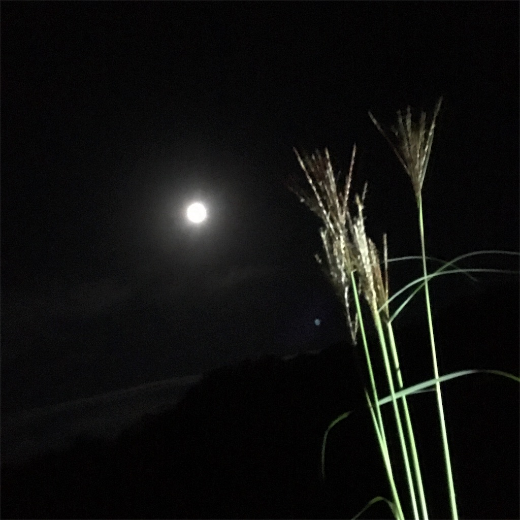 f:id:sprighascome:20171009222955j:image