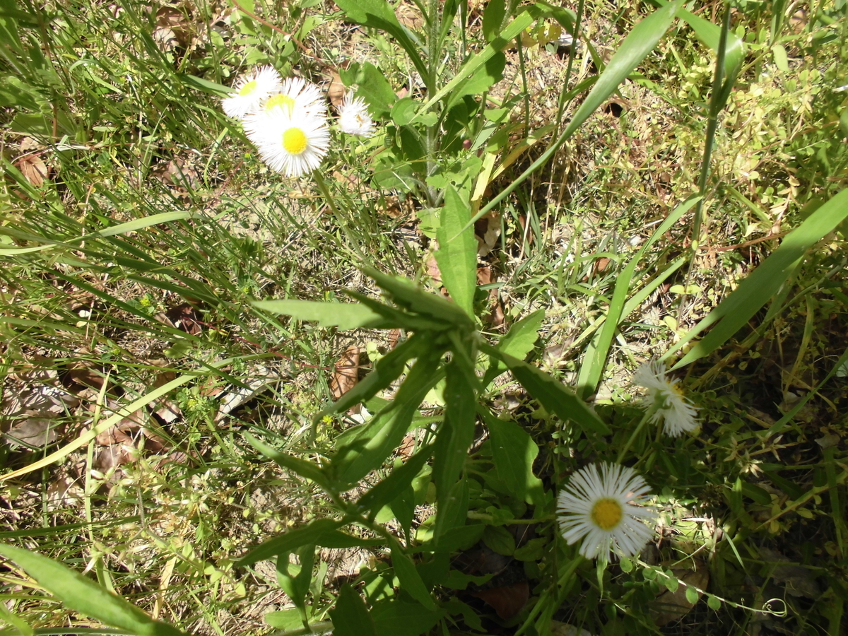 f:id:spring211:20200506070656j:plain f:id:spring211:20200506070656j:plain