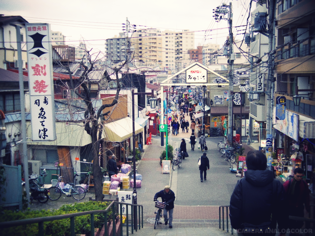 f:id:spring_mao:20130307230139p:image:w500