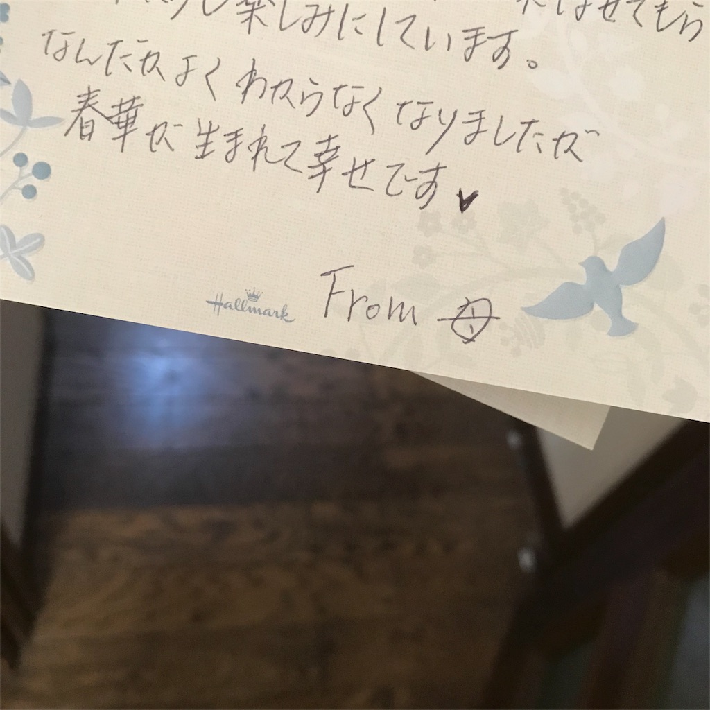 f:id:springaily:20190206203858j:image f:id:springaily:20190206203858j:image
