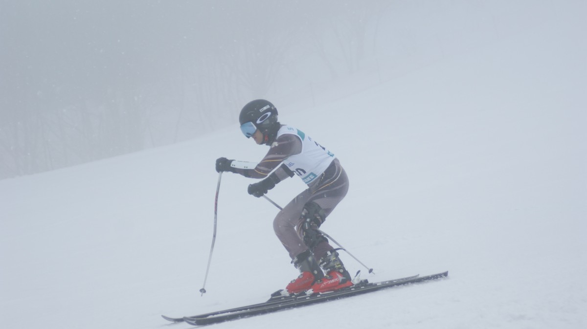 f:id:springen_ski:20190320121346j:plain