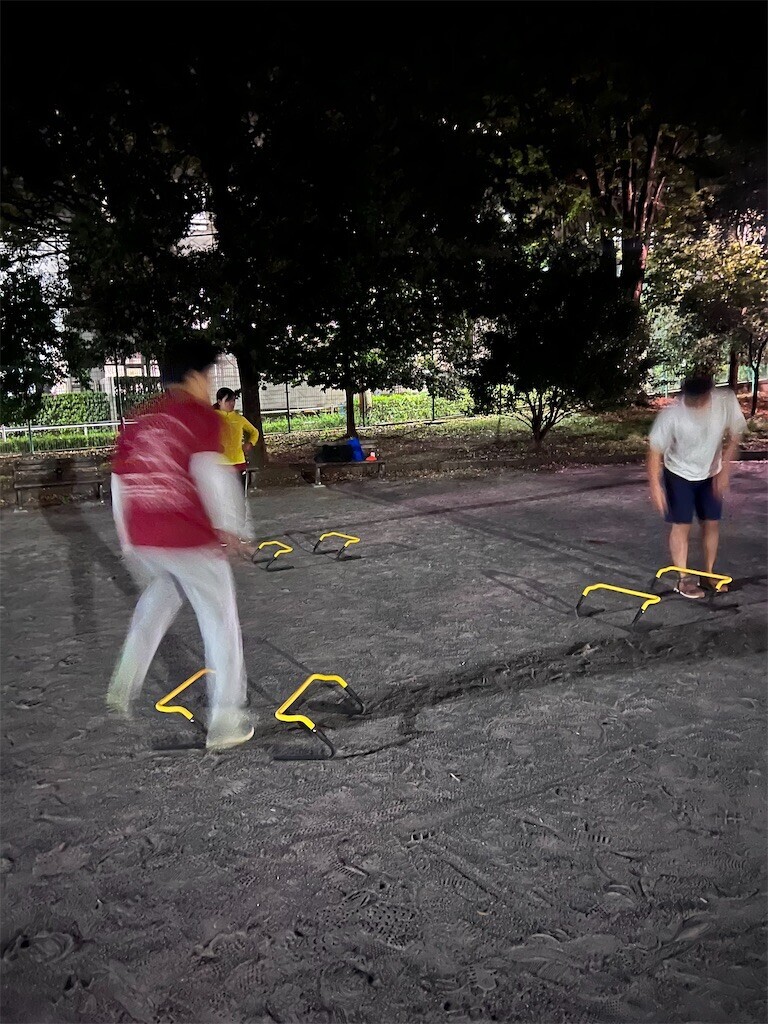 f:id:springen_ski:20241109194156j:image