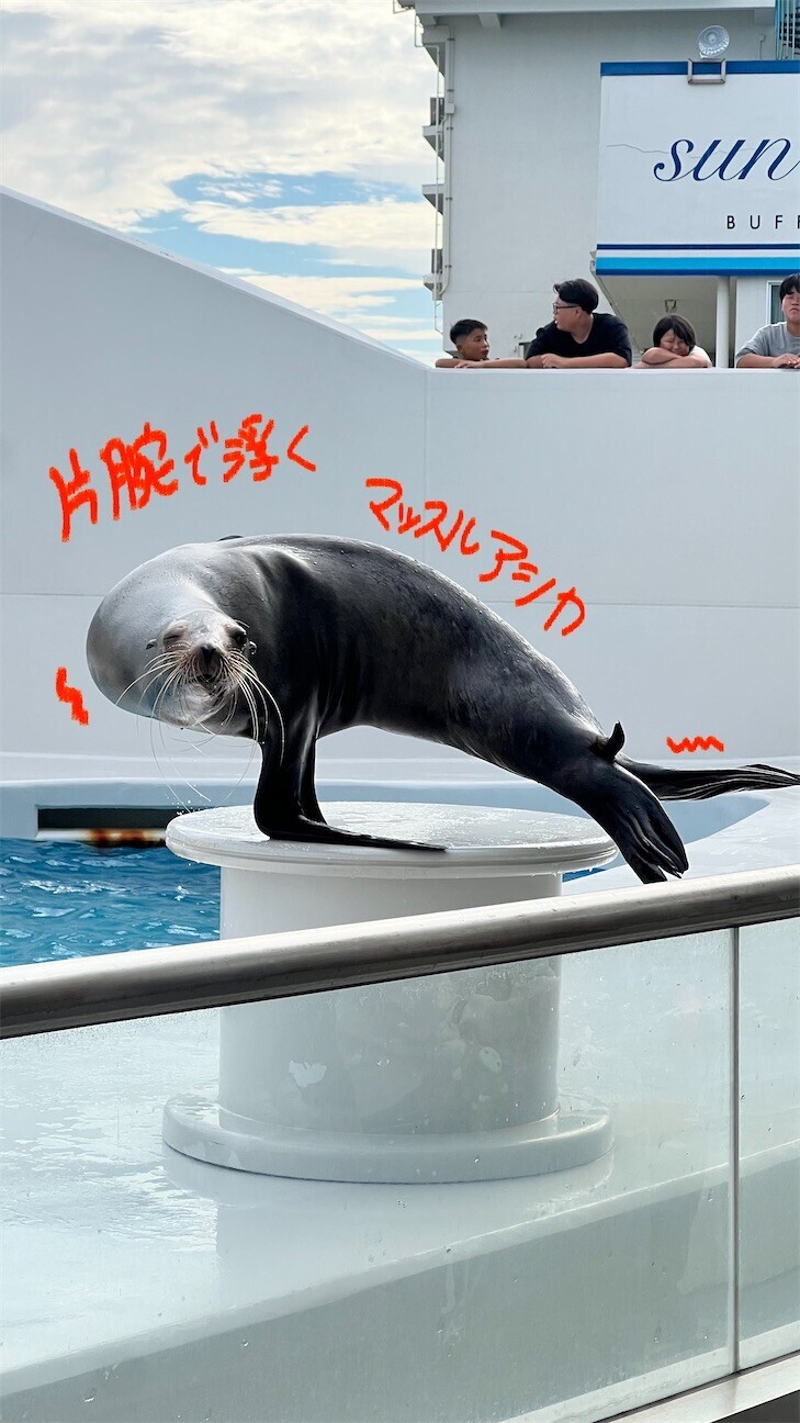 f:id:springen_ski:20260921154021j:image f:id:springen_ski:20260921154021j:image