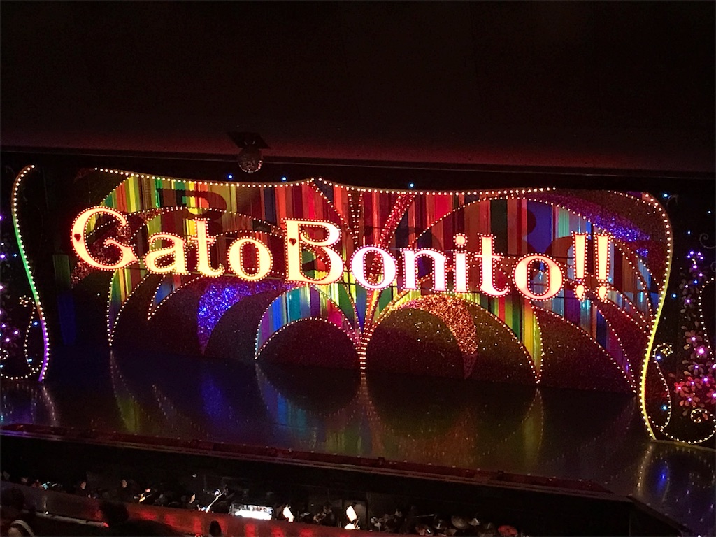 宝塚 雪組 東京宝塚劇場 Gato Bonito ガート ボニート 美しい猫のような男 想い徒然 宝塚 雪組 東京宝塚劇場 Gato Bonito ガート ボニート 美しい猫のような男 想い徒然