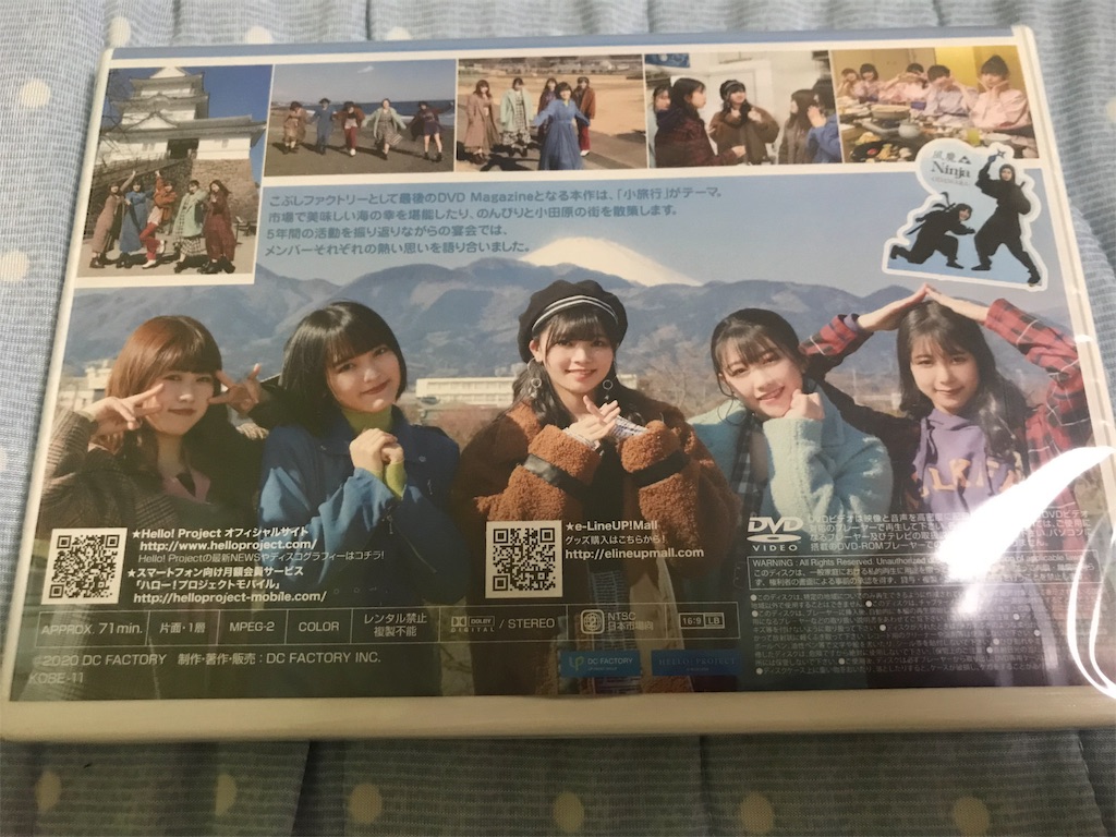 f:id:springhascoming:20200602191426j:image f:id:springhascoming:20200602191426j:image