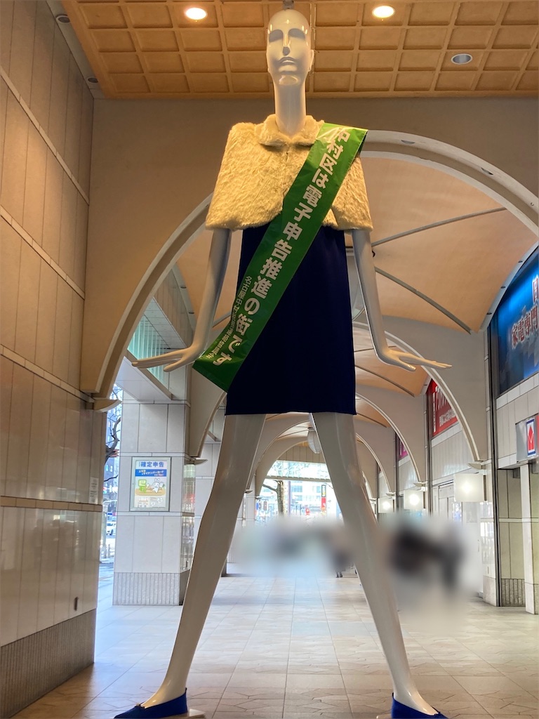 f:id:springhascoming:20230318182754j:image