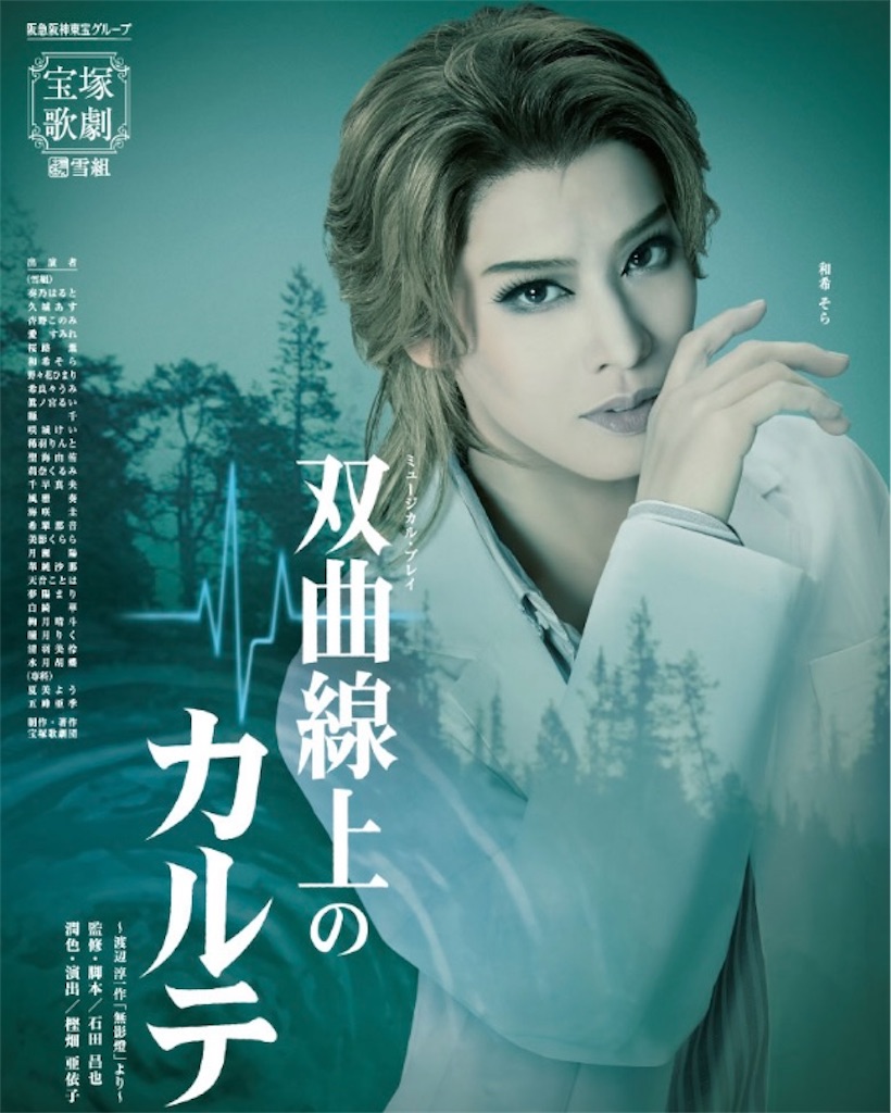 f:id:springhascoming:20231230131509j:image