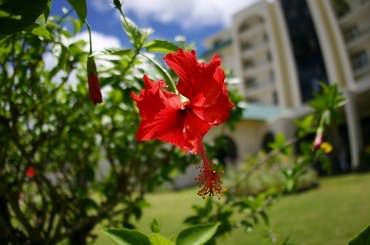 f:id:springmaron52:20160705085238j:plain f:id:springmaron52:20160705085238j:plain