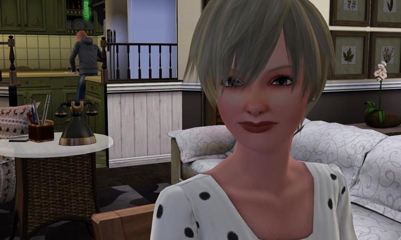 f:id:sprinklersim:20161227133417j:plain