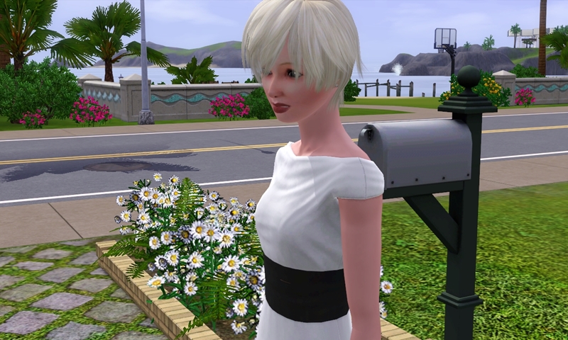 f:id:sprinklersim:20170706050142j:plain