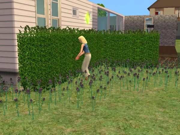 f:id:sprinklersim:20200525044931j:plain