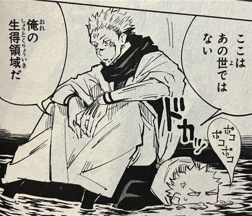 宿儺は伏黒の領域を使えない - spriteの考察日誌