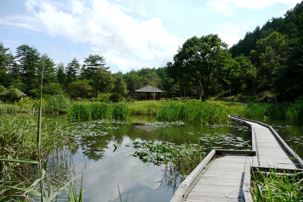 西の河原公園、鬼の相撲場。水面鏡...（2008年8月29日）