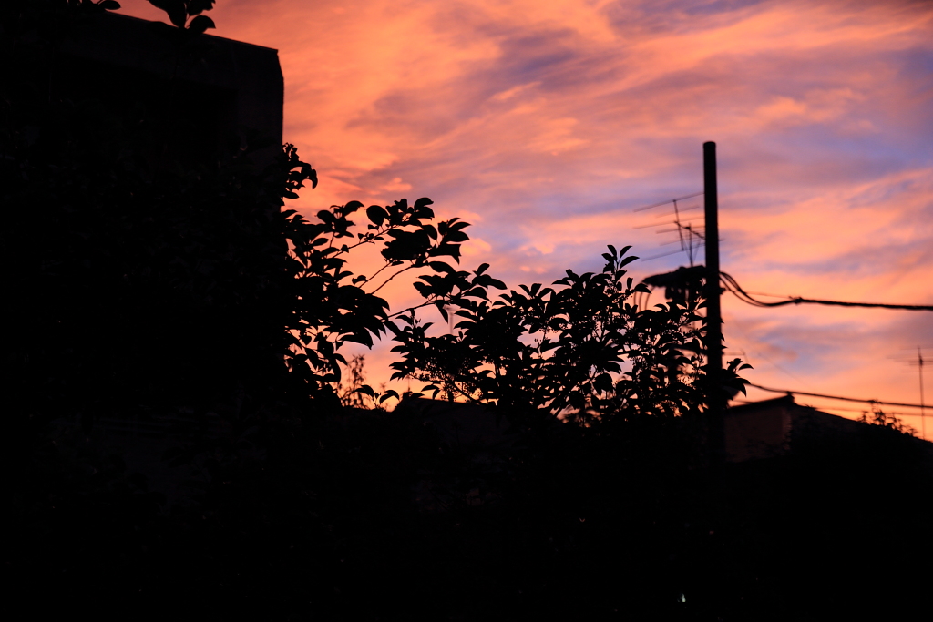 f:id:sprite_zzz:20100717233613j:image:w500
