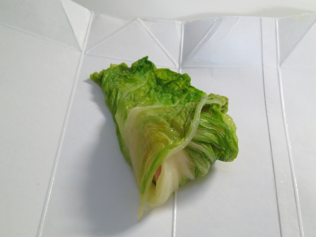 f:id:sprout09:20190110093212j:plain