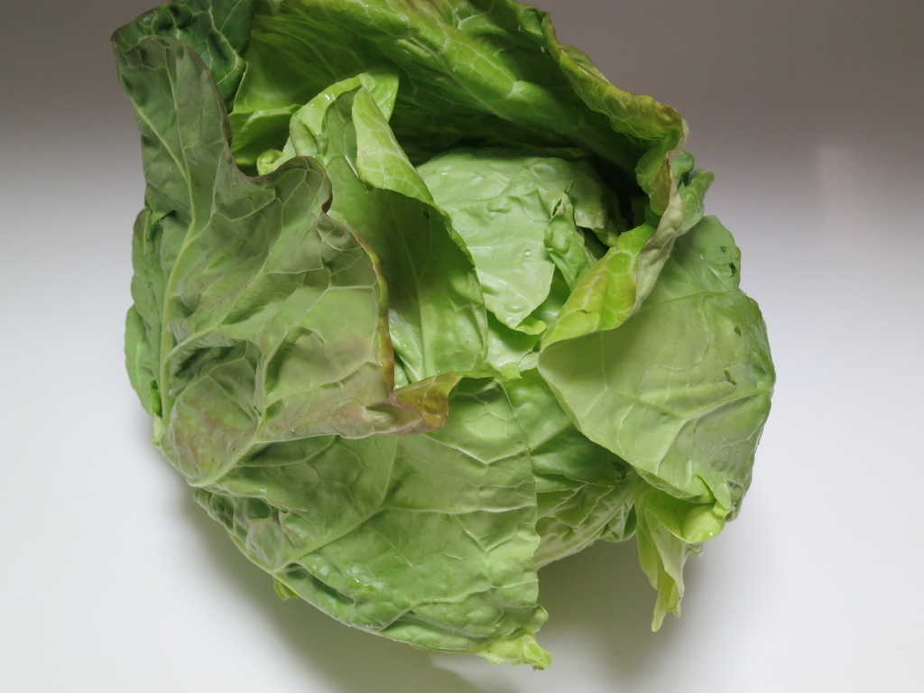 f:id:sprout09:20190212103523j:plain