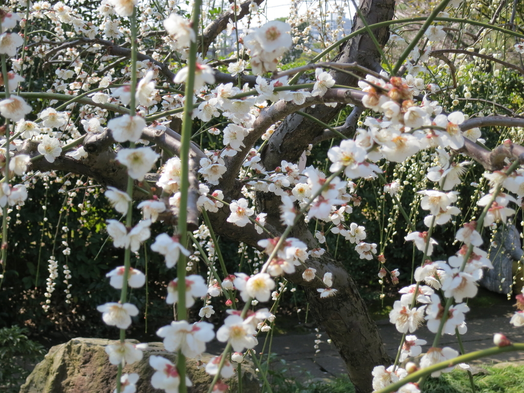 f:id:sprout09:20190307202004j:plain