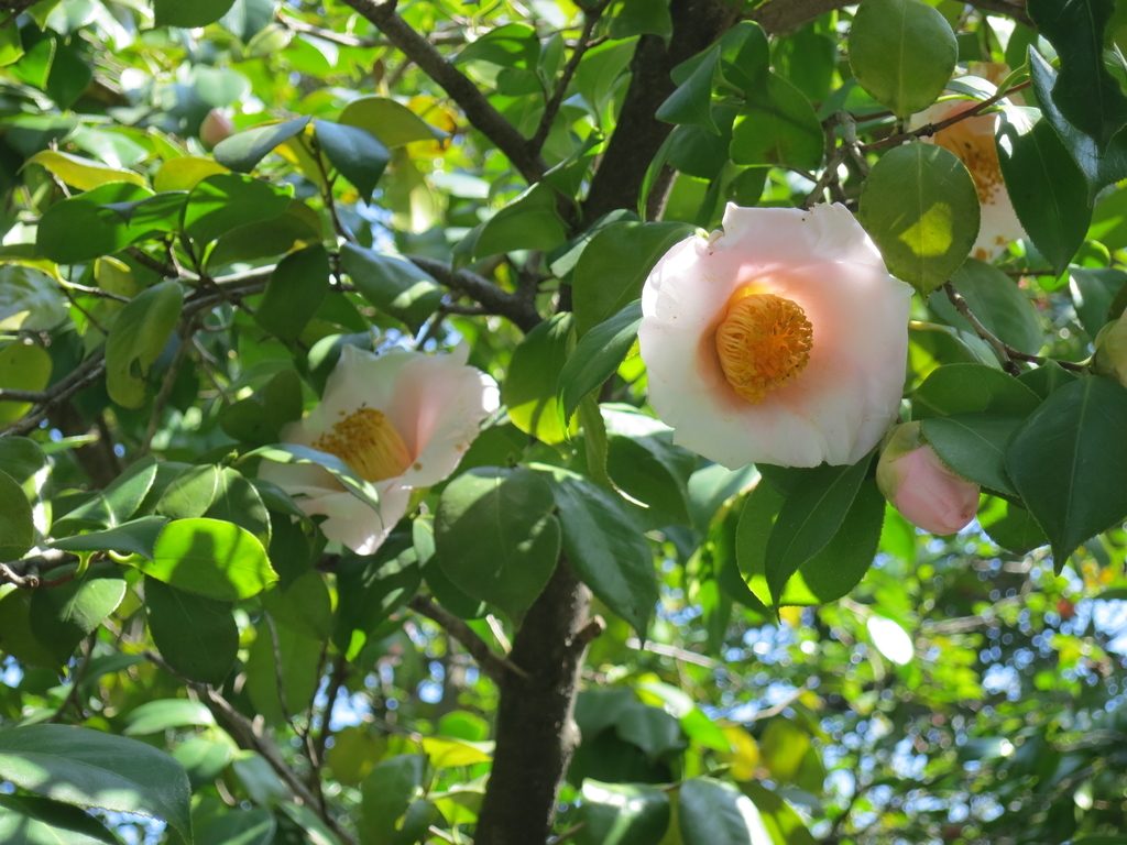 f:id:sprout09:20190307202257j:plain
