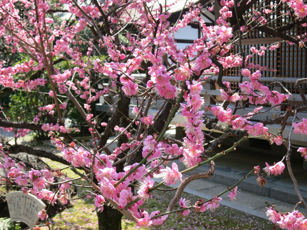 f:id:sprout09:20190307202837j:plain
