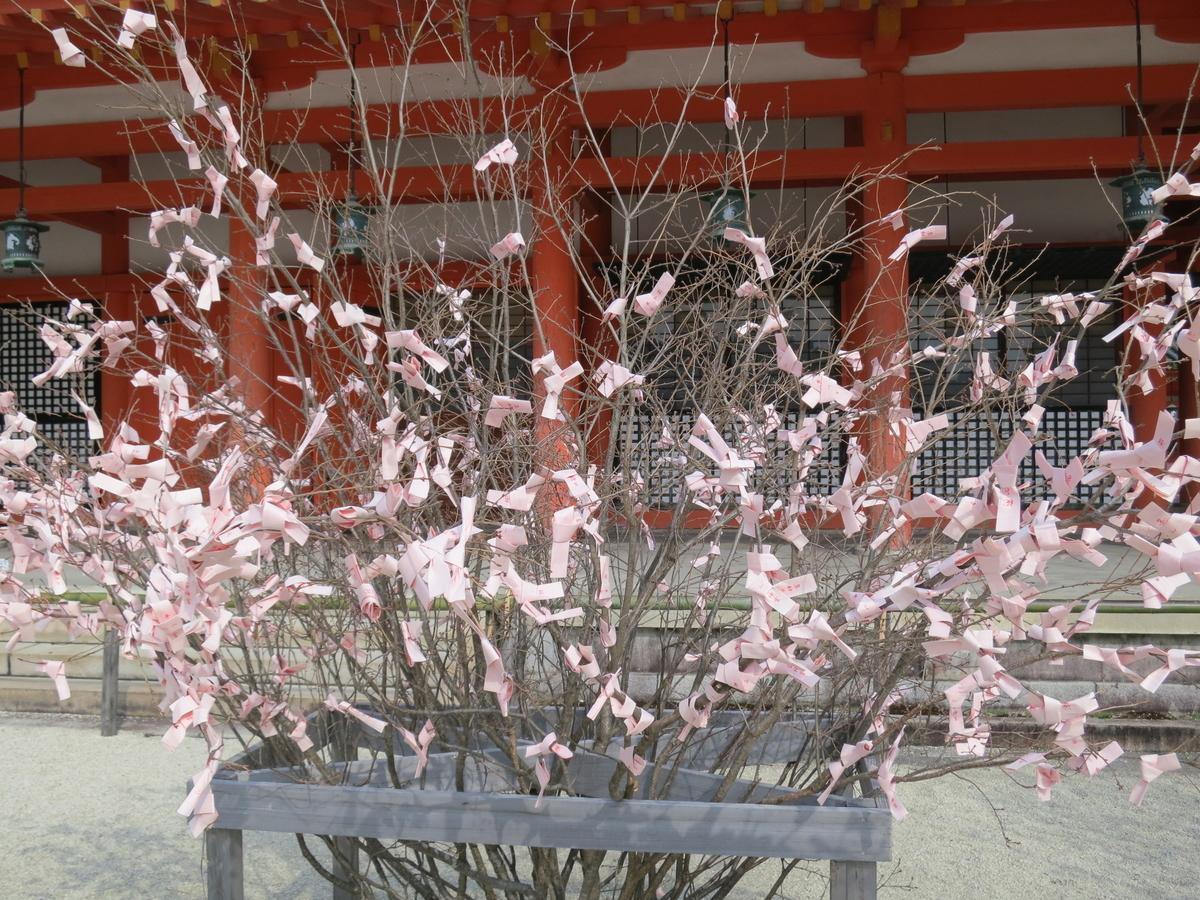 f:id:sprout09:20190329185713j:plain