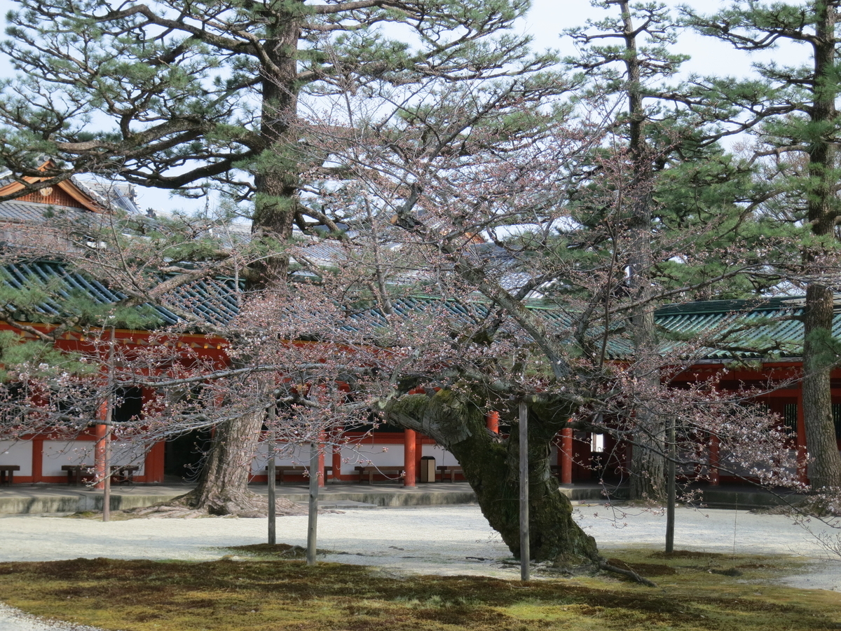 f:id:sprout09:20190329203324j:plain
