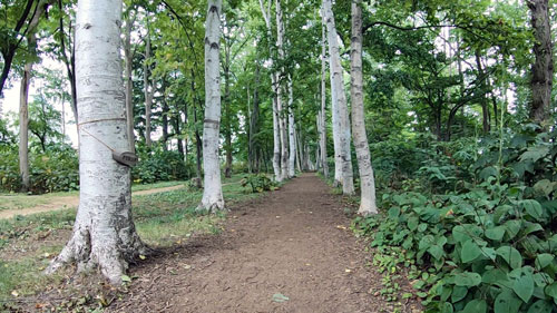 f:id:sprwcwalker:20200430095413j:plain