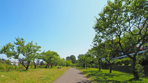 f:id:sprwcwalker:20200817112509j:plain f:id:sprwcwalker:20200817112509j:plain