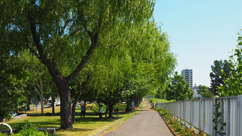 f:id:sprwcwalker:20200817112735j:plain f:id:sprwcwalker:20200817112735j:plain