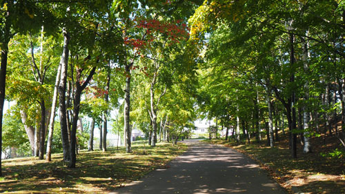 f:id:sprwcwalker:20200913092807j:plain f:id:sprwcwalker:20200913092807j:plain