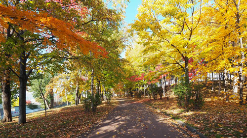 f:id:sprwcwalker:20200913092822j:plain f:id:sprwcwalker:20200913092822j:plain