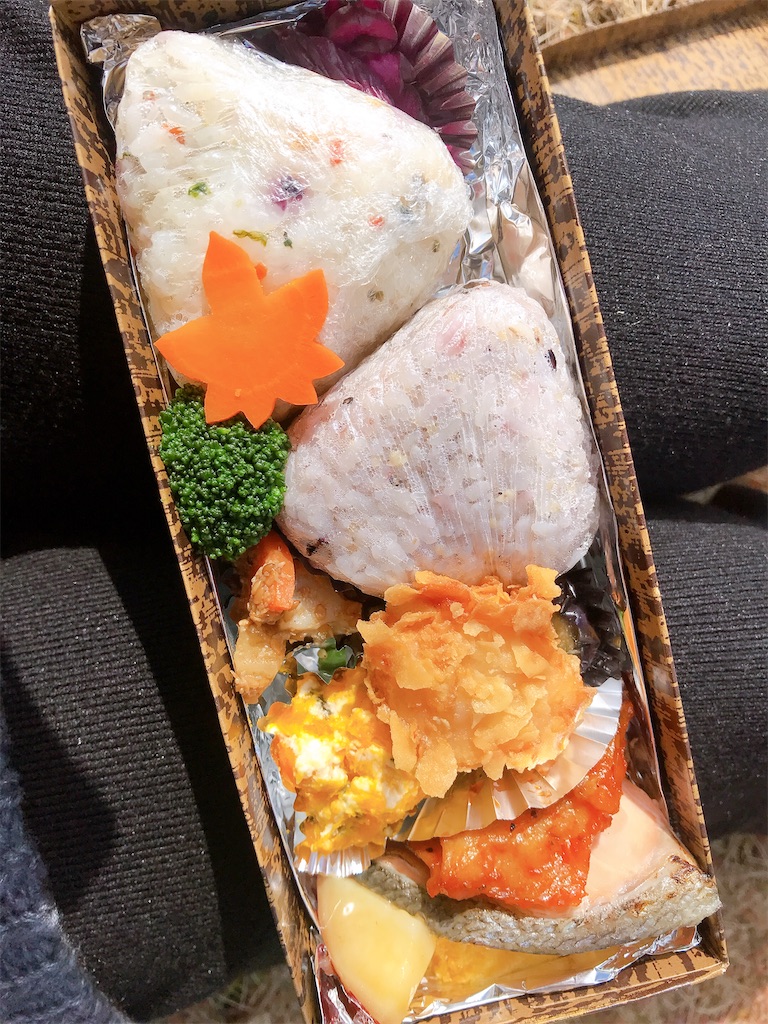 f:id:spzspk:20201115192054j:image
