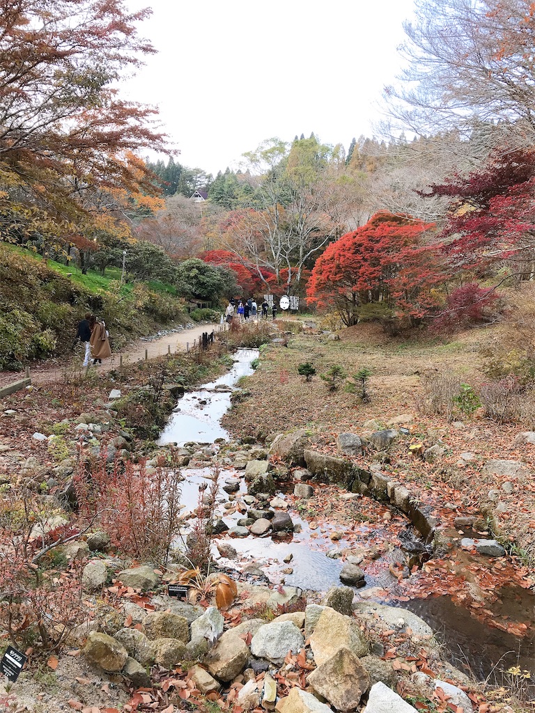 f:id:spzspk:20201115192201j:image