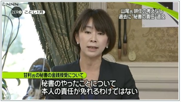 画像：山尾志桜里議員による主張