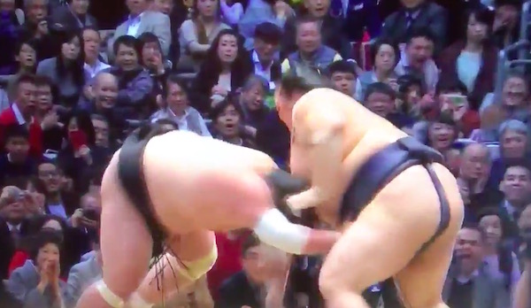 本割で照ノ富士を下した稀勢の里 画像:本割で照ノ富士を下した稀勢の里