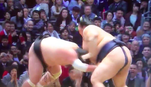 画像：本割で照ノ富士を下した稀勢の里