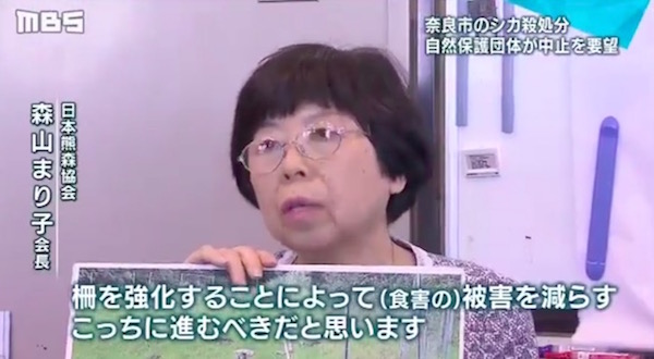 会見する『日本熊森協会』の代表 画像:会見する『日本熊森協会』の代表