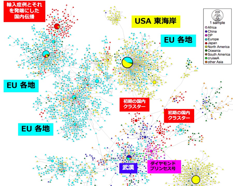 画像：新型コロナウイルスの伝播図