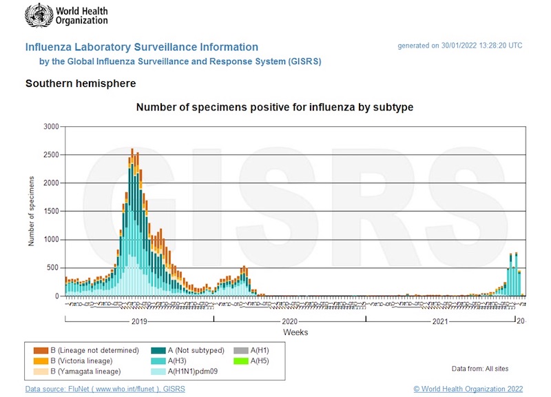 南半球でのインフルエンザの感染状況(2019年以降) 南半球でのインフルエンザの感染状況(2019年以降)