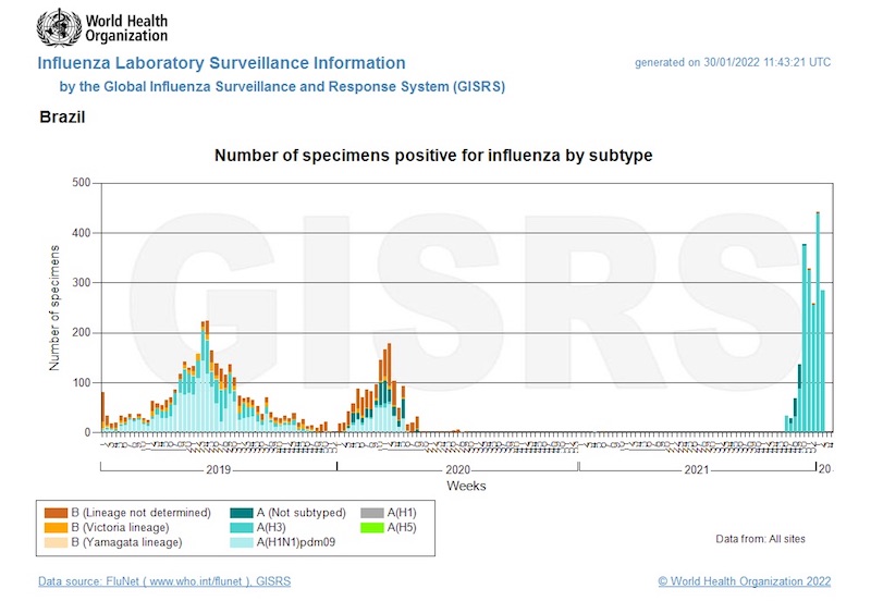 ブラジルでのインフルエンザの感染状況(2019年以降) ブラジルでのインフルエンザの感染状況(2019年以降)