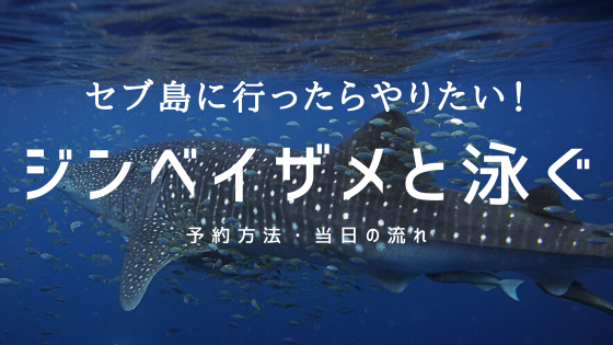 f:id:sqkitrip:20200514105123p:plain f:id:sqkitrip:20200514105123p:plain