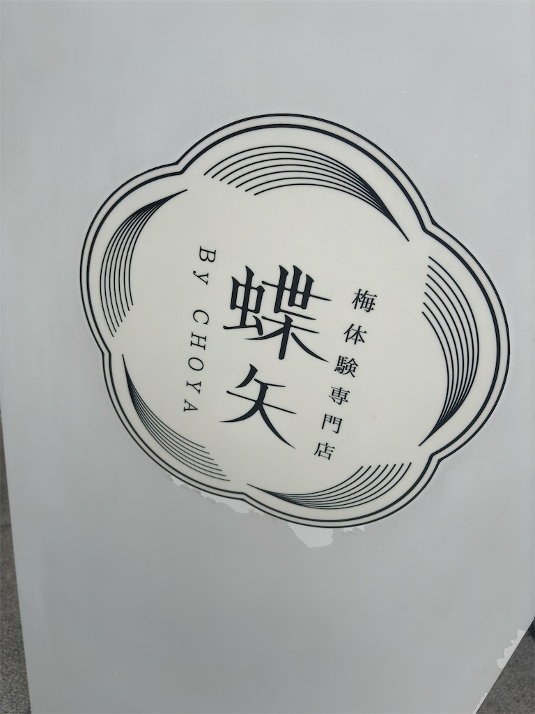 f:id:squaredjackets:20240616212001j:image