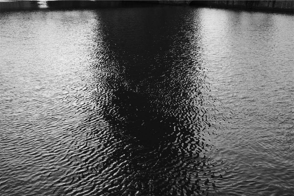 f:id:squaredjackets:20251116224029j:image