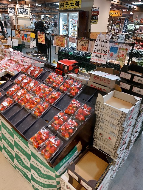 f:id:squatta:20240320152846j:image