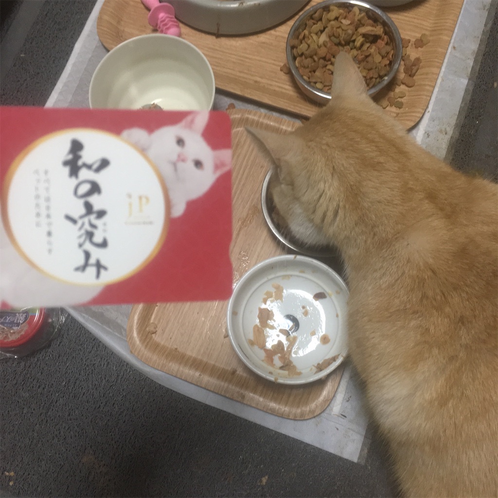 f:id:squid333:20190222091042j:image f:id:squid333:20190222091042j:image