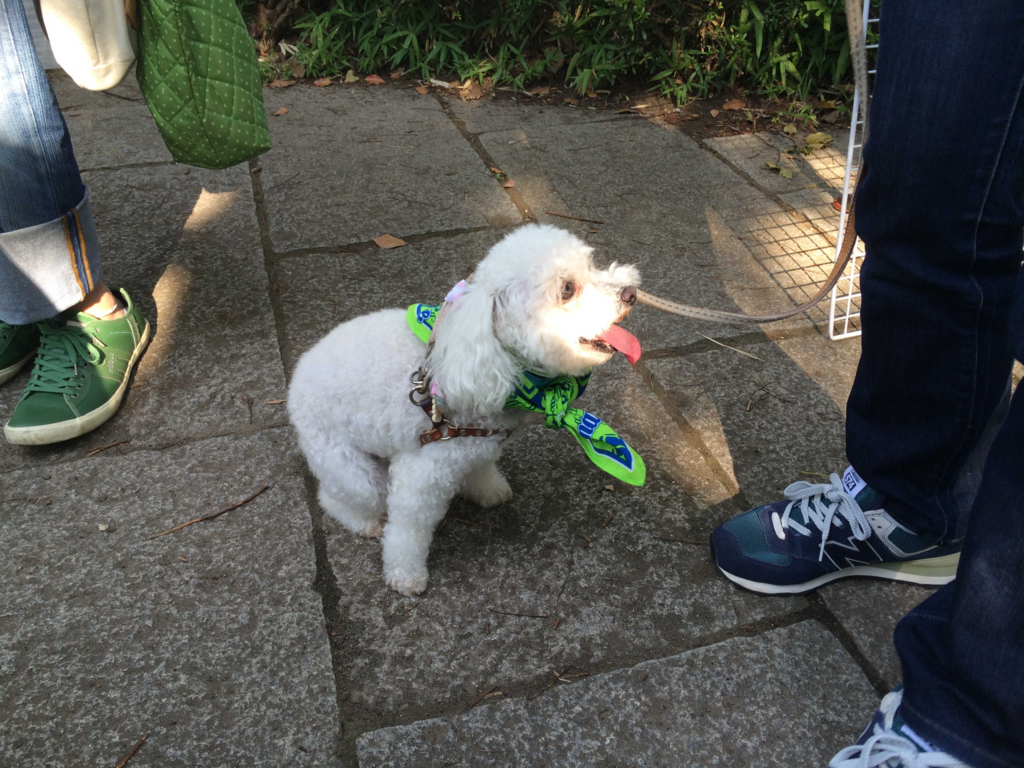 f:id:sr2460:20160703171201j:plain