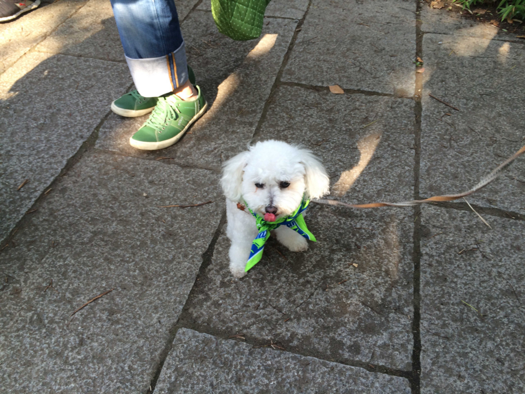 f:id:sr2460:20160703171214j:plain